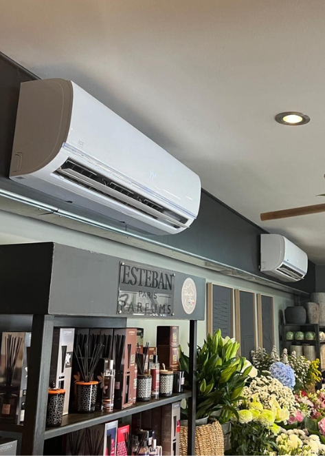 icestream-mono-split-mural intérieur d'un magasin de fleurs avec climatisation